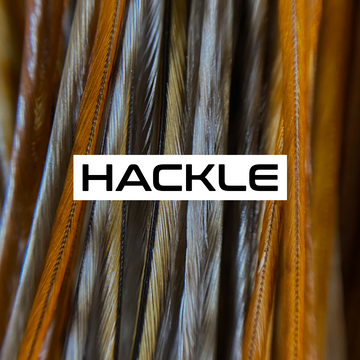 Hackle - COLLECTION.png__PID:6d2bb290-bbe3-46e3-b8e6-5f35b840520c